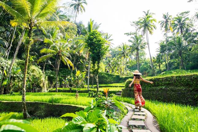 Bali — El espíritu sagrado de Bali